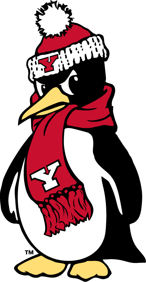 Youngstown State Penguins 2018-Pres Secondary Logo v2 diy DTF decal sticker